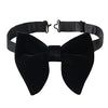 Butterfly Bow Tie - Harrys for Menswear