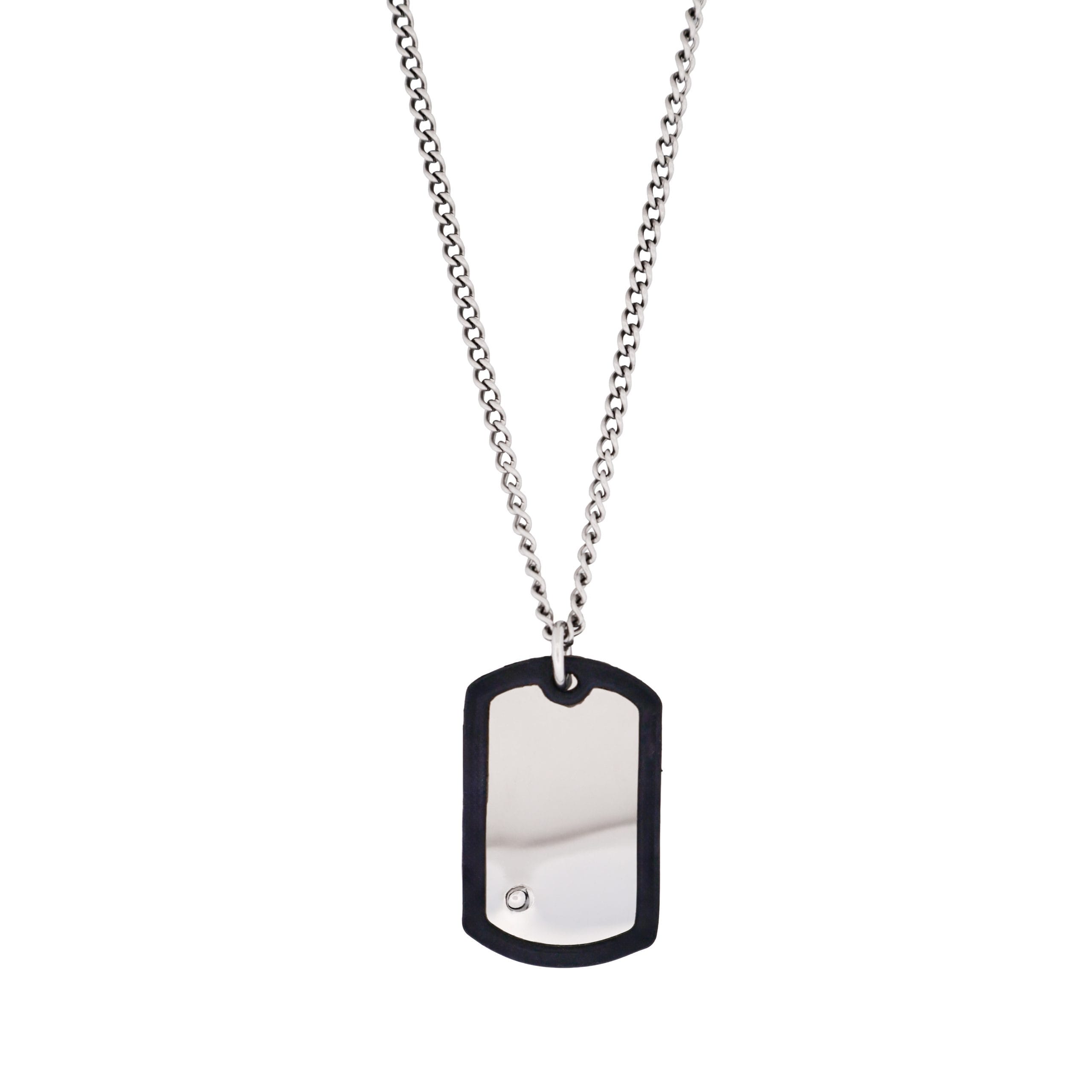 Stainless Steel & Rubber Dog Tag & Chain