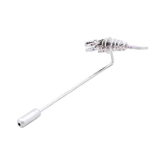 T-Rex Skeleton Lapel Pin