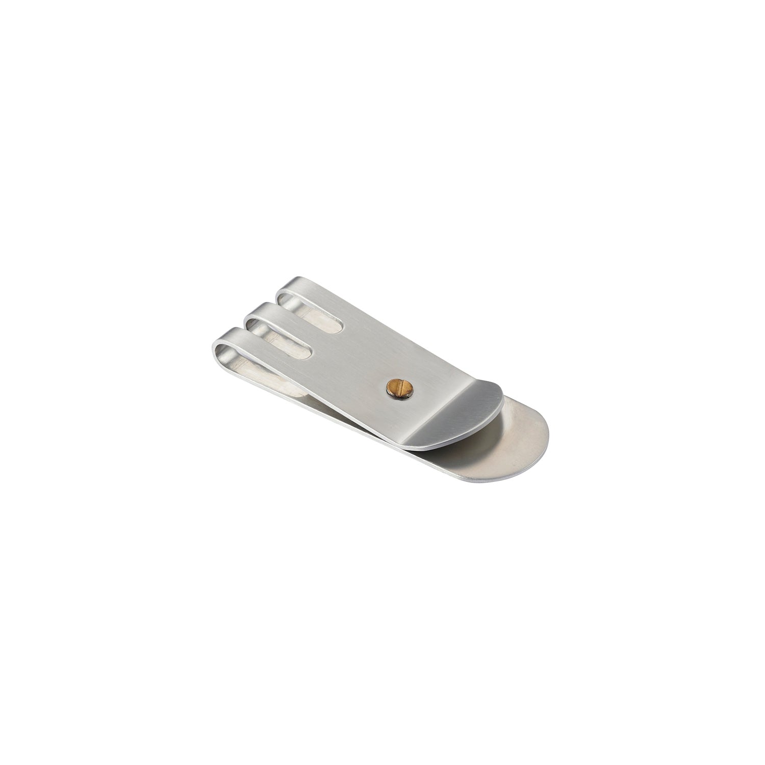 Brushed Stainless Steel & Gold Screw Money Clip