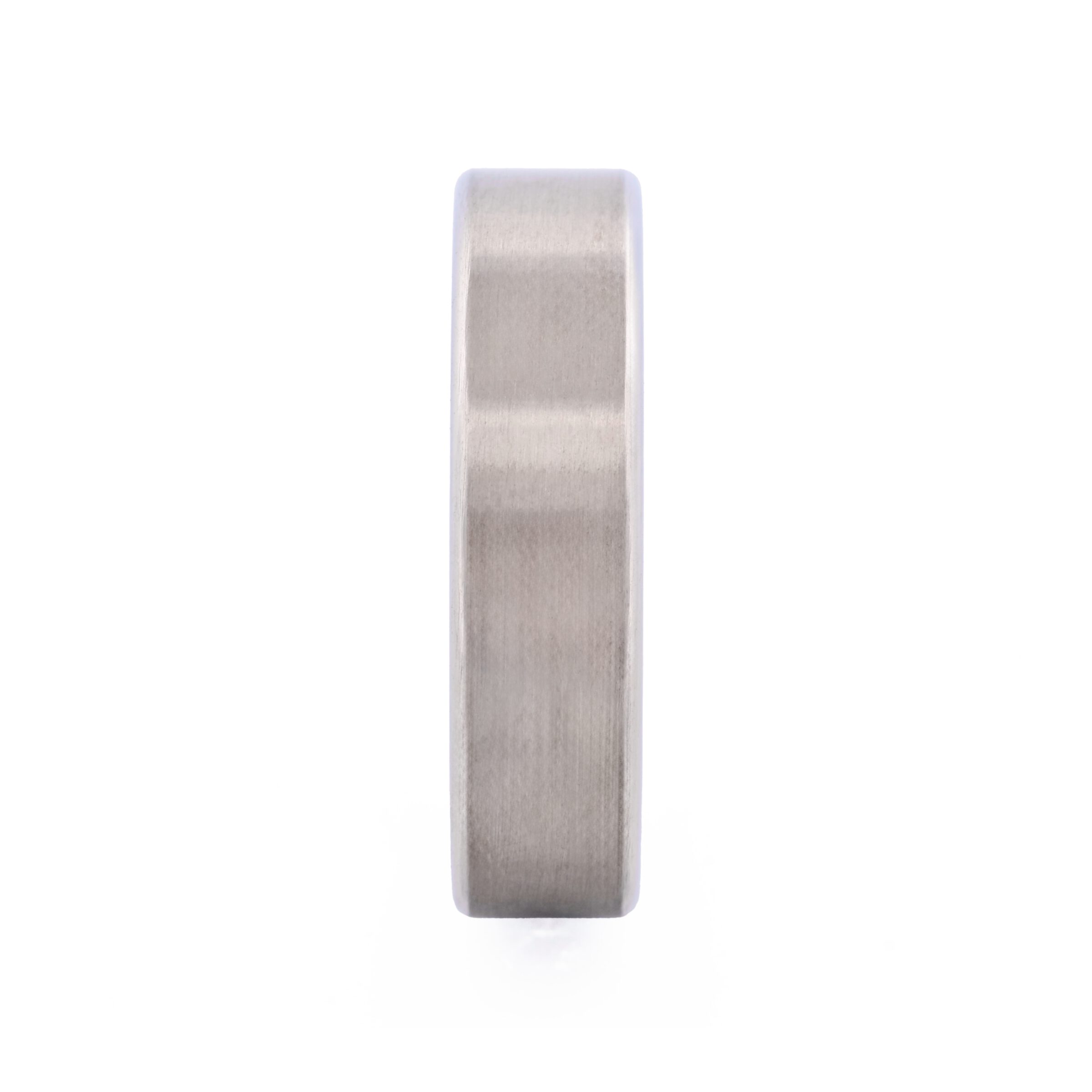 Stainless Steel Ring
