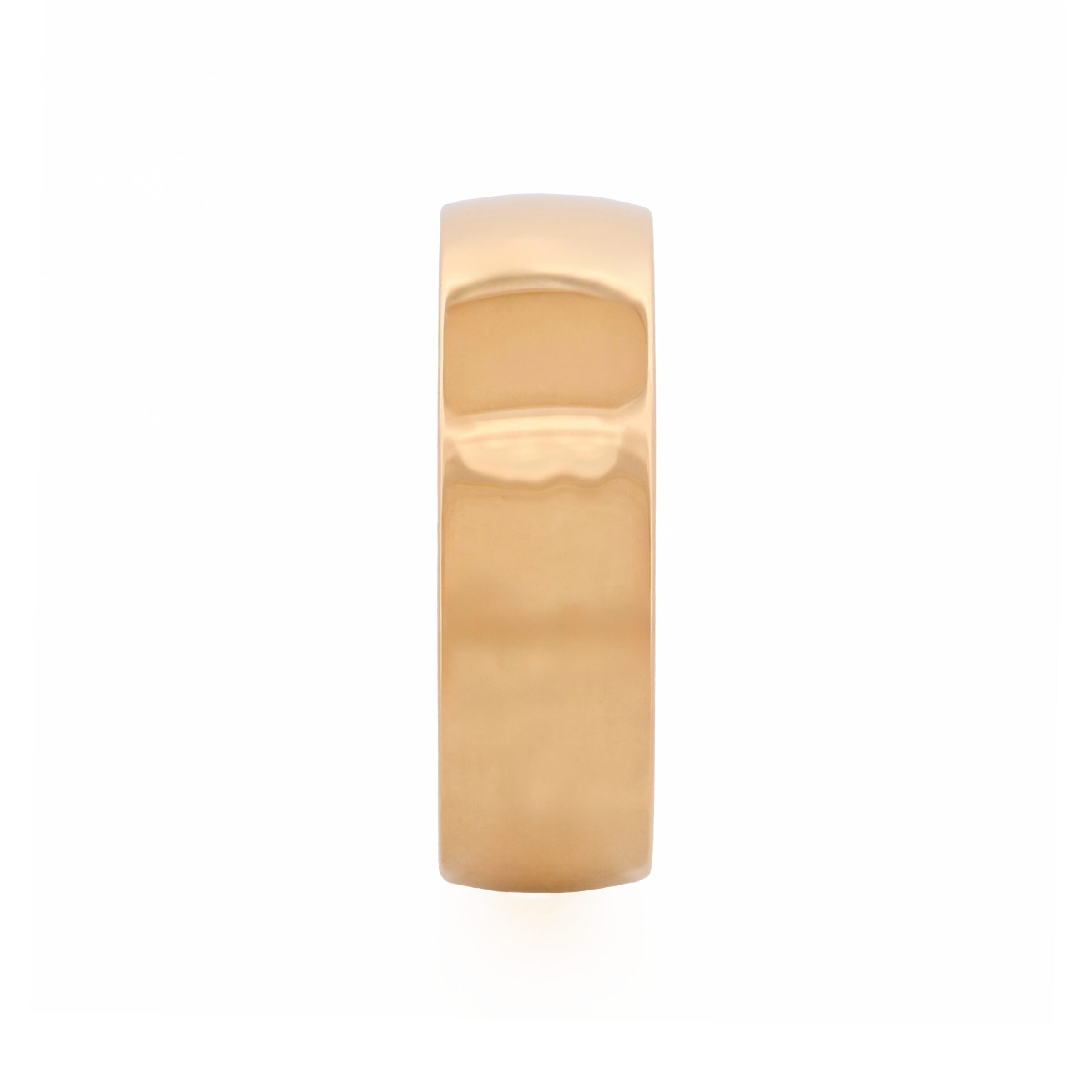 Polished Ion Plated 14k Gold Stainless Steel Ring