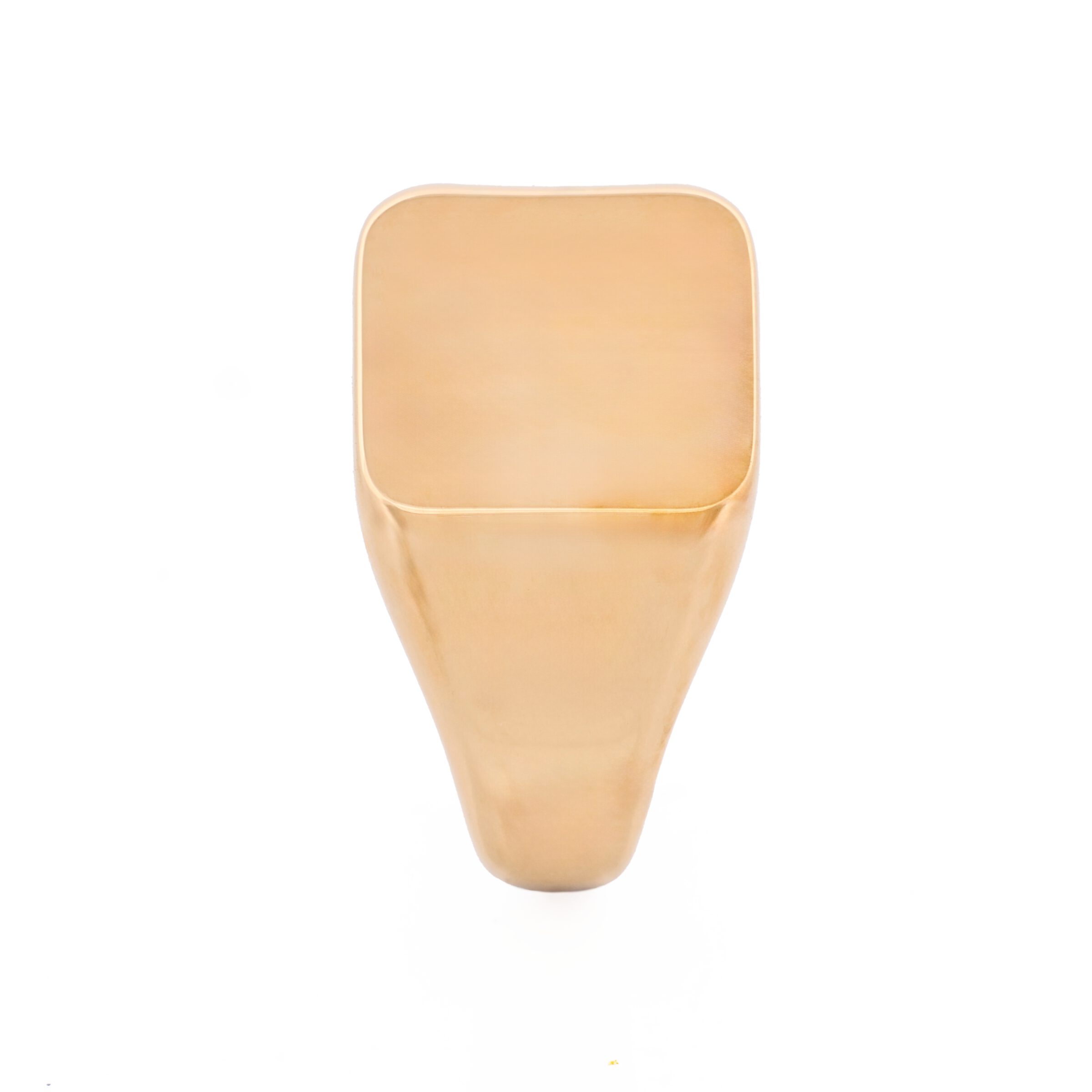 Ion Plated 14K Gold Polished Stainless Steel Signet Ring
