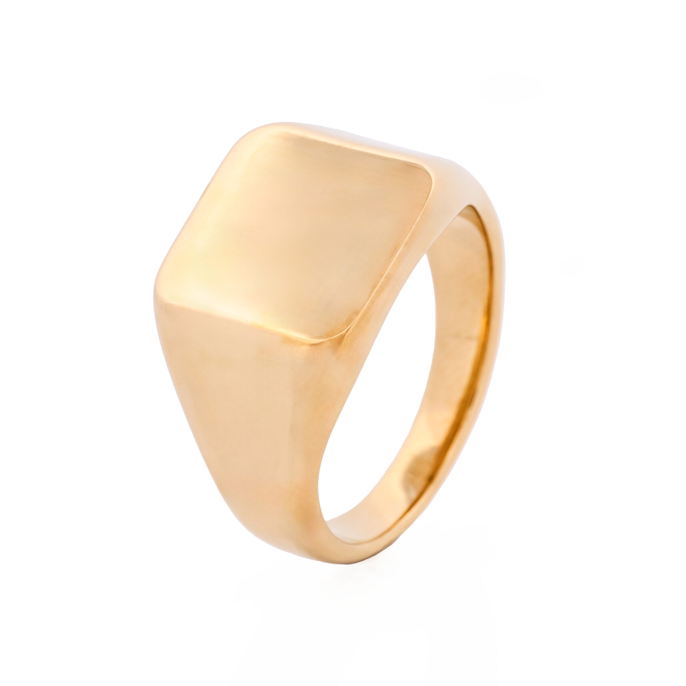 Ion Plated 14K Gold Polished Stainless Steel Signet Ring