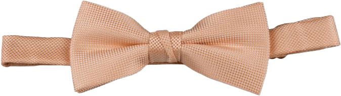 Self Pattern Tie-Hank-Bow-Melon - Harrys for Menswear