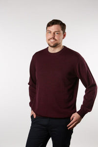 FL840- Crew Neck Pullover - Harrys for Menswear